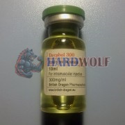 Курс Деки СОЛО