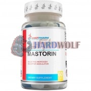 Mastorin [Масторин] (20 мг x 60 капс), Westpharm