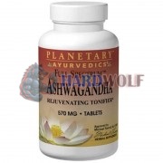 Ashwagandha [Ашваганда] (570 мг x 60 табл), Planetary Ayurvedics
