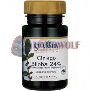 Ginkgo [Гинкго Билоба] (60 мг x 30 капс), Swanson