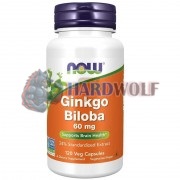 Ginkgo [Гинкго Билоба] (120 капс), NOW Foods