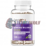 Ginkgo [Гинкго Билоба] (120 мг x 120 капс), OstroVit
