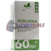 Gotu [Готу Кола] (500 мг x 60 капс), NaturalSupp
