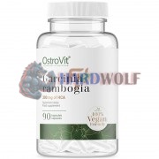 Garcinia Cambogia (500 мг x 90 капс), OstroVit