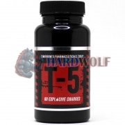 T-5 (60 капс), Zion Labs