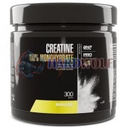 Creatine 100% Monohydrate (300 гр: 60 порций), Maxler
