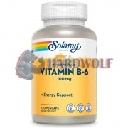 Vitamin B-6 [Timed Release] (120 шт по 100 мг), Solaray
