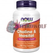 Choline & Inositol (100 шт по 500 мг), NOW Foods