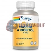 Choline + Inositol (100 шт), Solaray